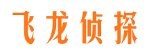 石峰私家侦探公司